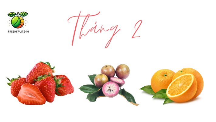 freshfruit24h