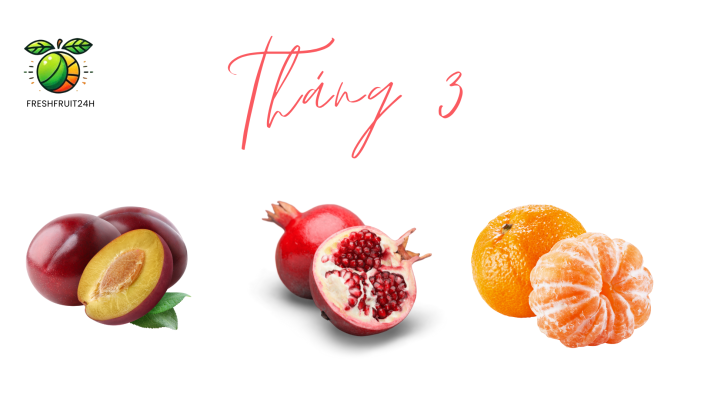 freshfruit24h