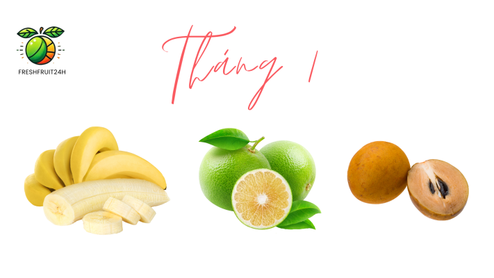 freshfruit24h